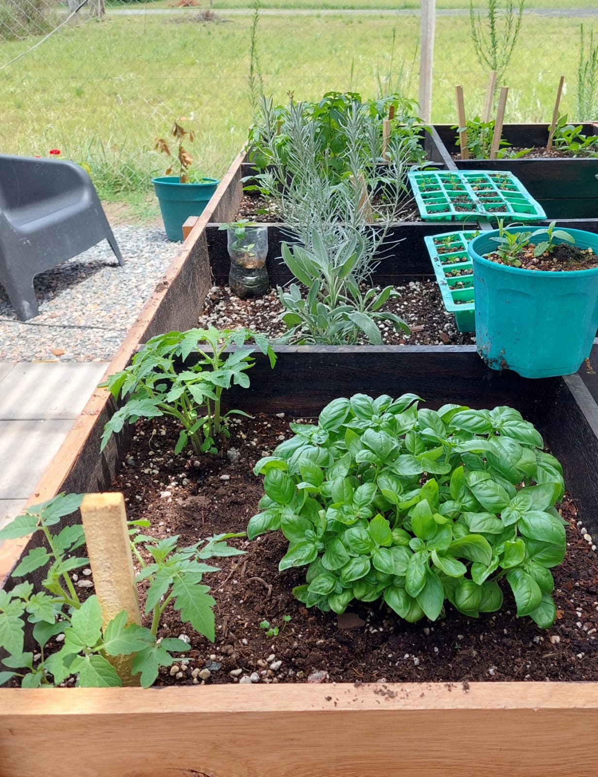 Garden tools and seedlings on a potting bench